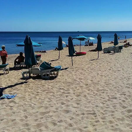 Blue In Byala Byala (Varna)