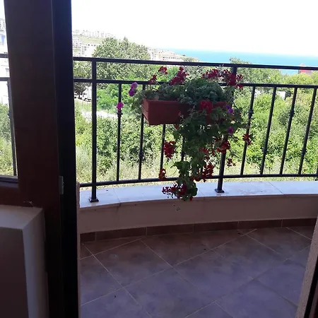 Blue In Byala Byala (Varna)