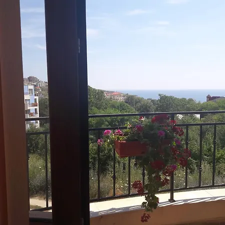 Blue In Byala Byala (Varna)